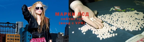 крисы Каменка