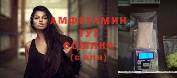 стаф Инта