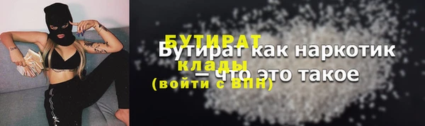 шишки Каменногорск