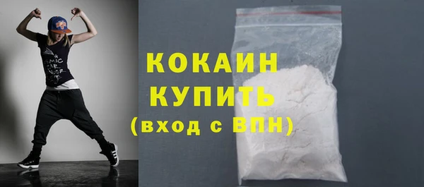 крисы Каменка