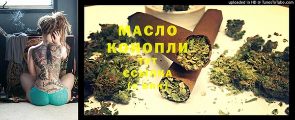 стаф Инта