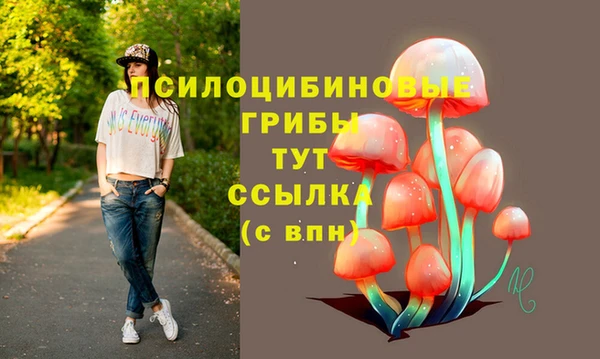 стаф Инта