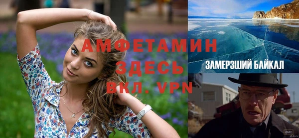 стаф Инта
