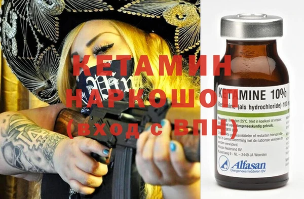 стаф Инта