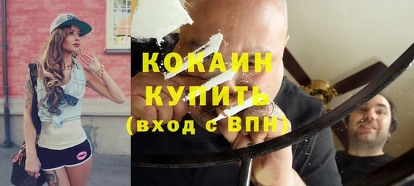 стаф Инта