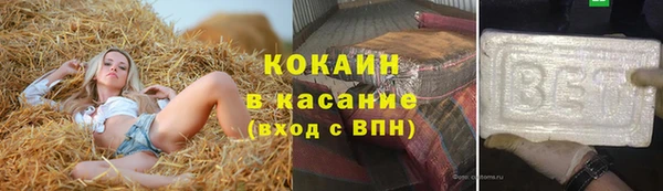 стаф Инта