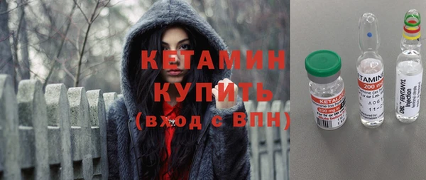 стаф Инта