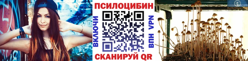 Галлюциногенные грибы ЛСД Купить Егорьевск